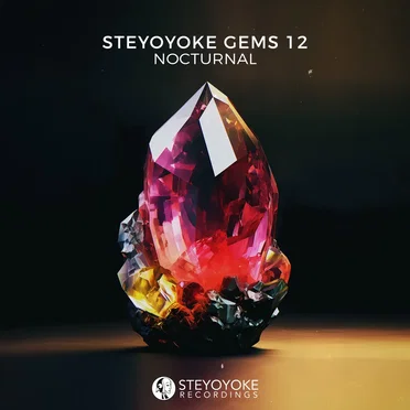 Steyoyoke Gems Nocturnal 12 by Various Artists - album cover