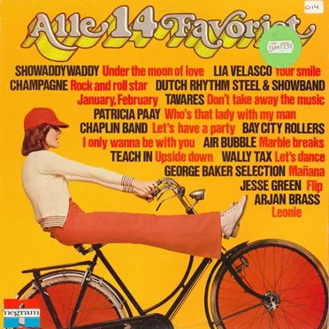 Alle 14 favoriet by Various Artists - album cover