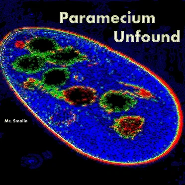 Paramecium Unfound