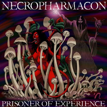 Prisoner of Experience