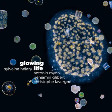 Glowing Life