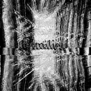 LE MILIEU