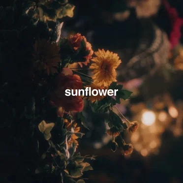 Sunflower by Clay J Gladstone - album cover