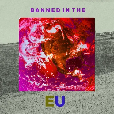 Banned in the EU by Little Mighty Zebra Rabbit - album cover