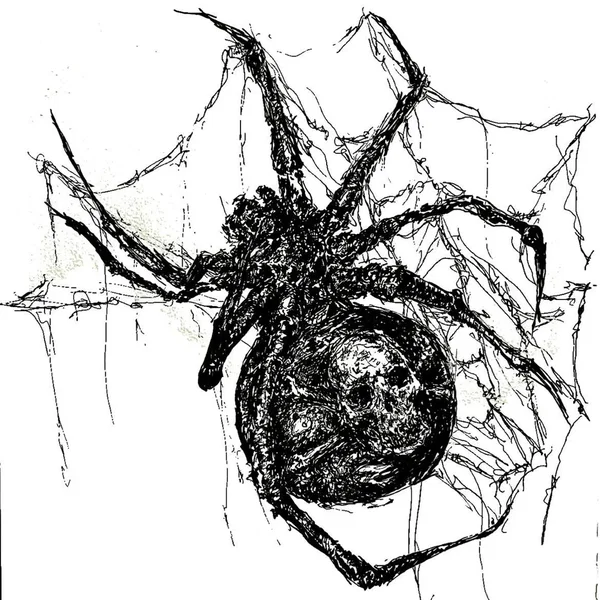 recluse