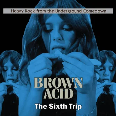 Brown Acid: The Sixth Trip by Various Artists - album cover
