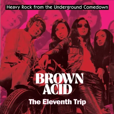 Brown Acid: The Eleventh Trip by Various Artists - album cover