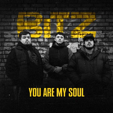 You Are My Soul by BITZ - album cover
