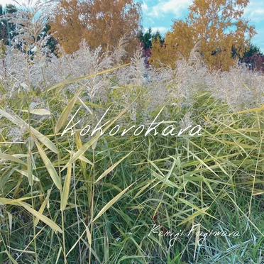 kokorokara by Kenji Fujiwara - album cover
