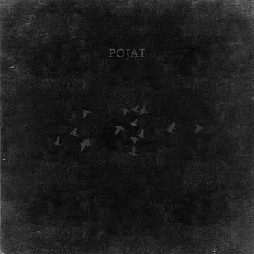 Cigarette & Solo / Shades of Gray by Pojat - album cover