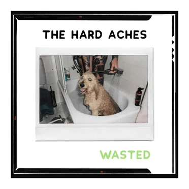 Wasted by The Hard Aches - album cover