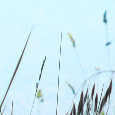 Istumble