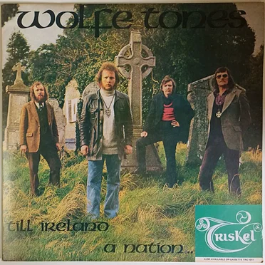 `Till Ireland a Nation ...