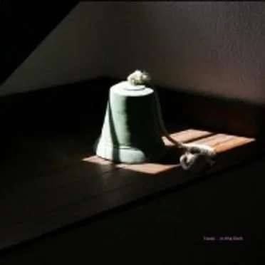 In The Dark