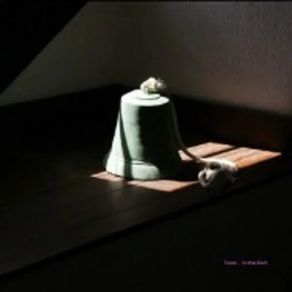 In The Dark