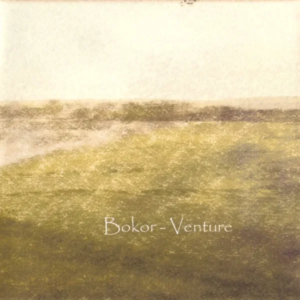 Venture