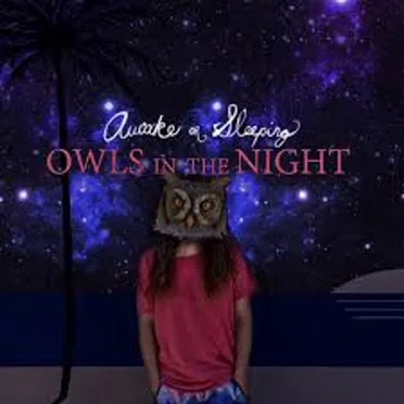 Owls in the night