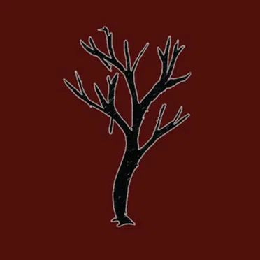 Novas músicas velhas angústias
