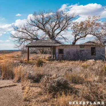Desertland by Johnny Hart and the Mess - album cover