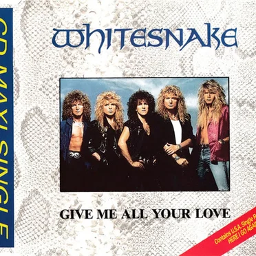 Give Me All Your Love