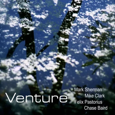 Venture