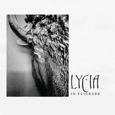 In Flickers by Lycia - album cover