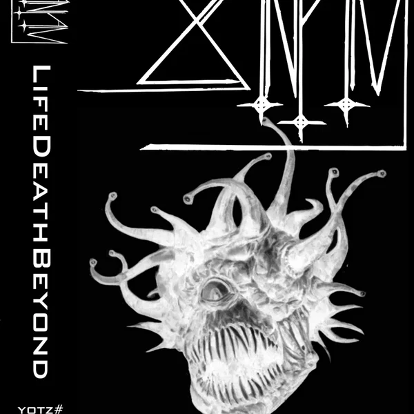 LifeDeathBeyond