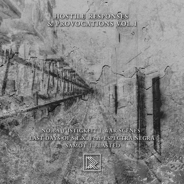 Hostile Responses & Provocations 1 by Various Artists - album cover