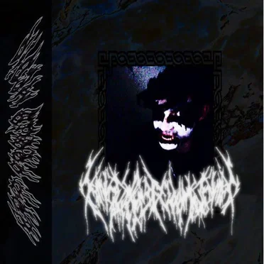 Rumination Chamber by Anodyne Downpour - album cover