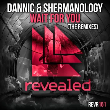 Wait for You (The Remixes)