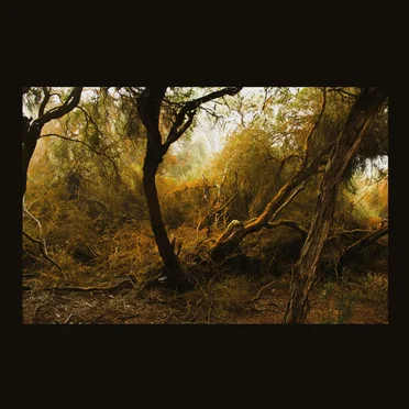 Barcarolle by Lubomyr Melnyk - album cover