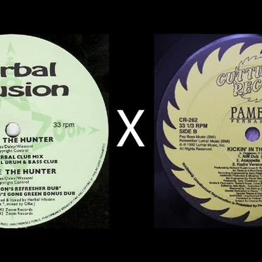 Herbal Infusion "The Hunter" x Pamela Fernandez "Kickin' In The Beat" by Kevin McKay - album cover