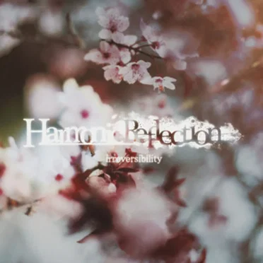 irreversibility by Harmonic Reflection - album cover