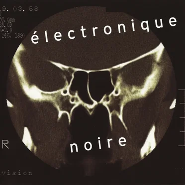 Électronique noire