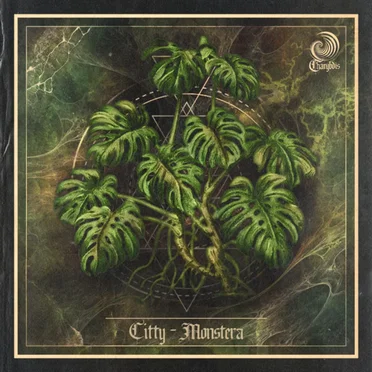 Monstera