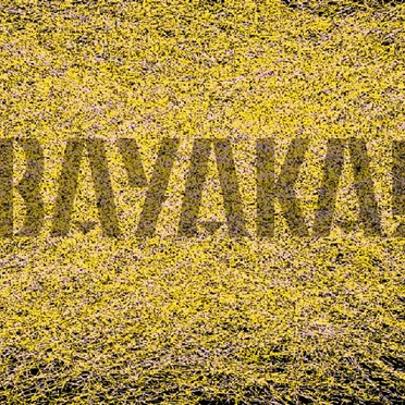 Bayaka!