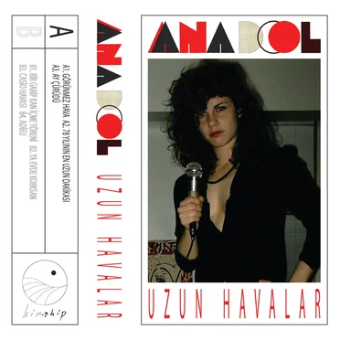 Uzun Havalar by Anadol - album cover