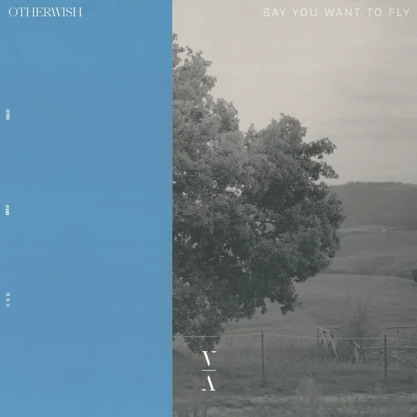 Say You Want to Fly