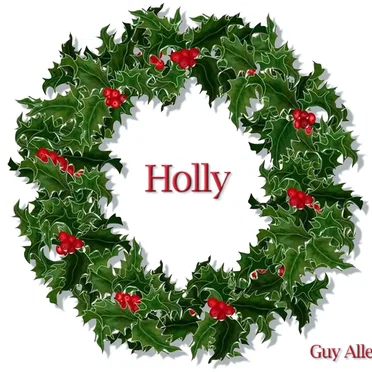 Holly