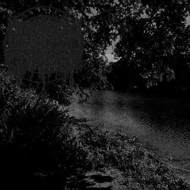River of the Black Forest