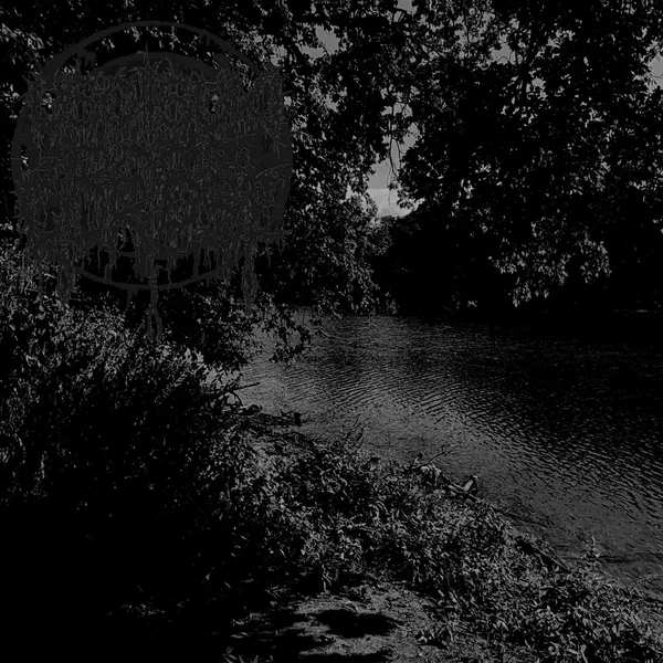 River of the Black Forest
