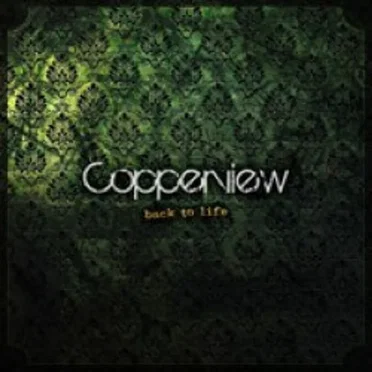Back To Life by Copperview - album cover
