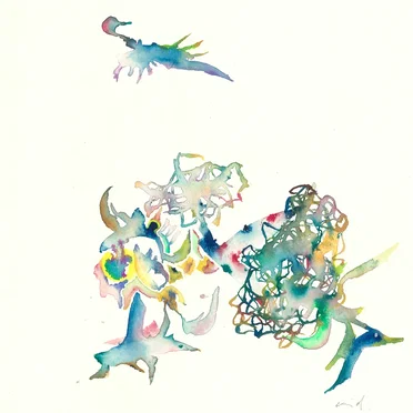 Age of Birds