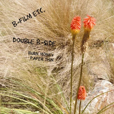 Double B-Side by B-Film Etc. - album cover