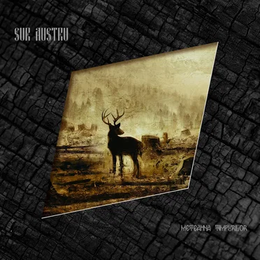 Meteahna Timpurilor by Sur Austru - album cover