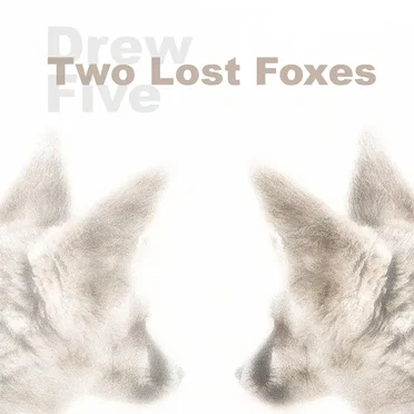 Two Lost Foxes
