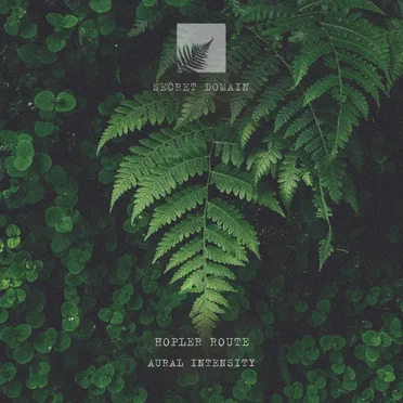 Aural Intensity by Hopler Route - album cover