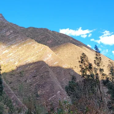 Naturally Indwelling