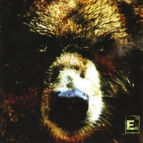 The Bear