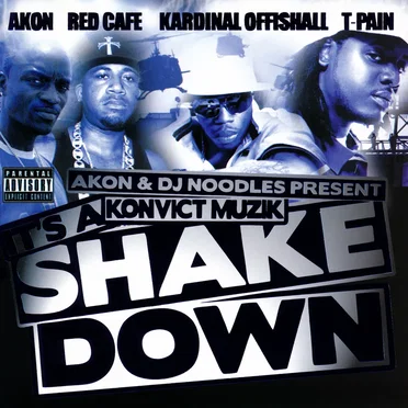 It’s a Shake Down by Akon - album cover